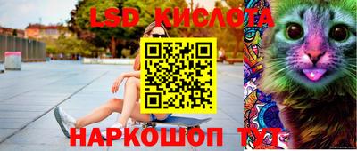 стаф Кинель