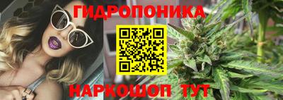 амф Кимры