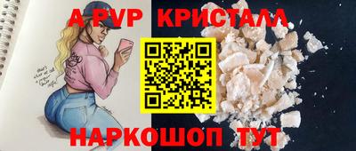 стаф Кинель